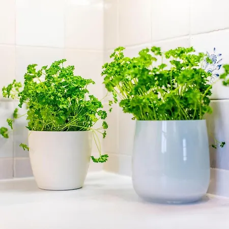 Apartament Luxus Heefwai